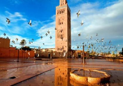Marrakech HIVERNAGE - image 18