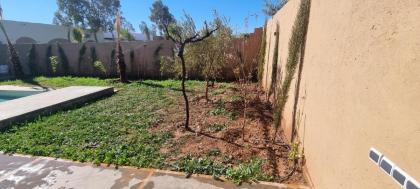 city garden Kech - image 25