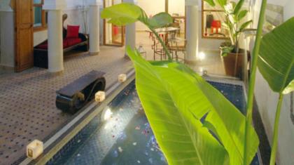 Riad Chalymar - image 28