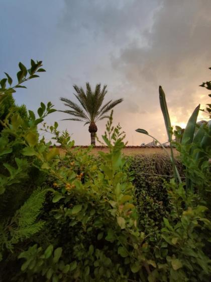 Riad Assalam - image 27