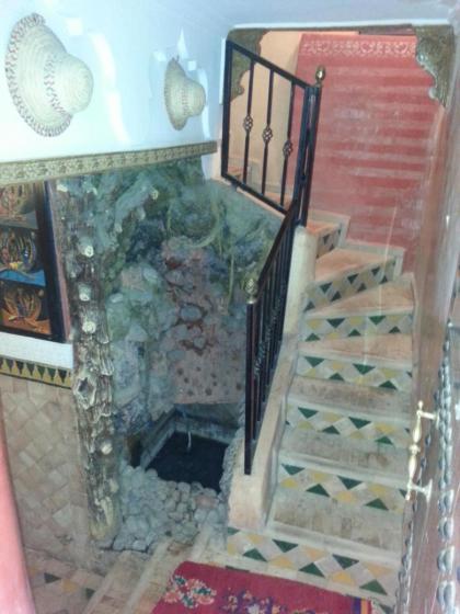 Riad Tarik - image 23