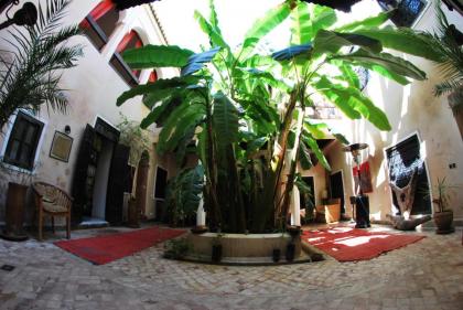 Riad Bamileke - image 25