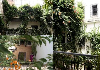Bougainvillea Riad Marrakech 