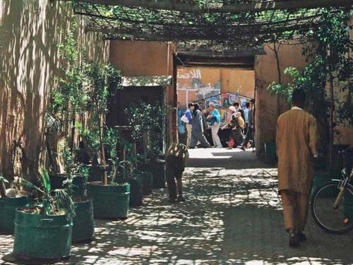 Riad Dar Marhaba - image 4
