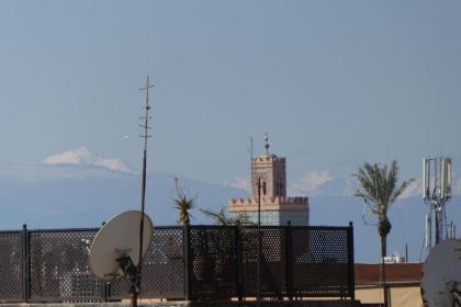 Riad Smara - image 7