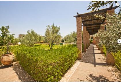 Riad Mhidou - image 4
