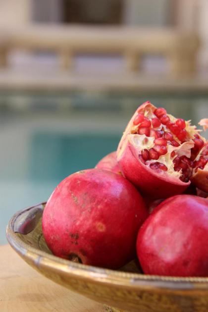 Riad Emberiza Sahari - image 27