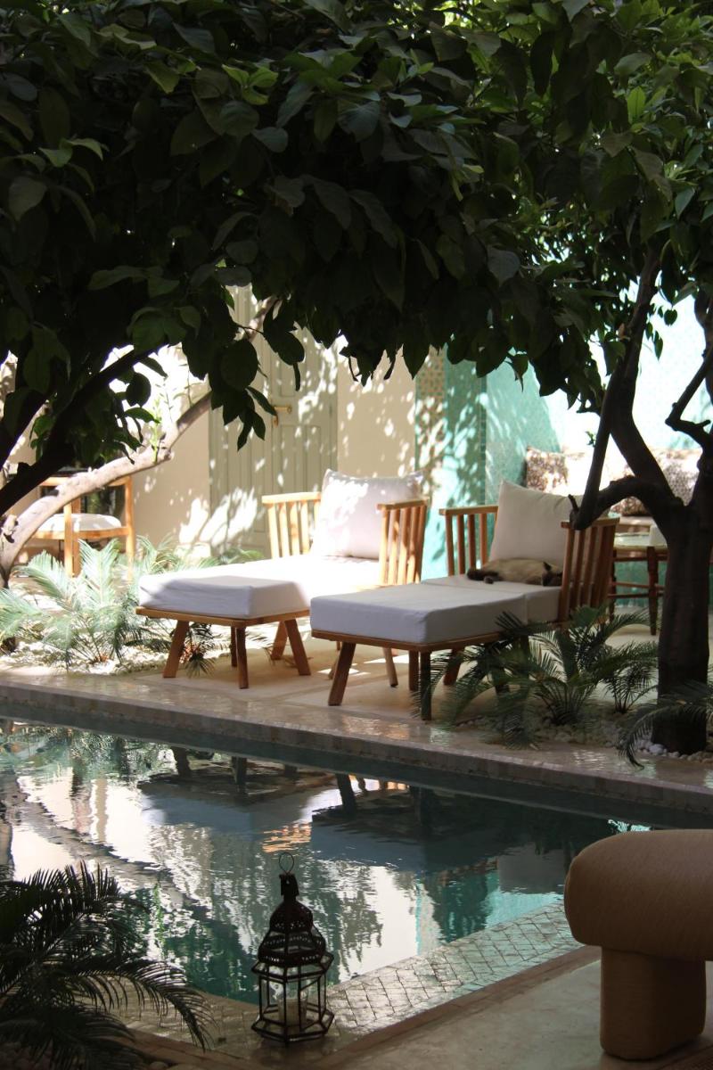 Riad Emberiza Sahari - image 6