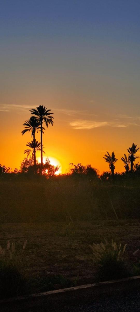 Gite route Ouarzazate - main image