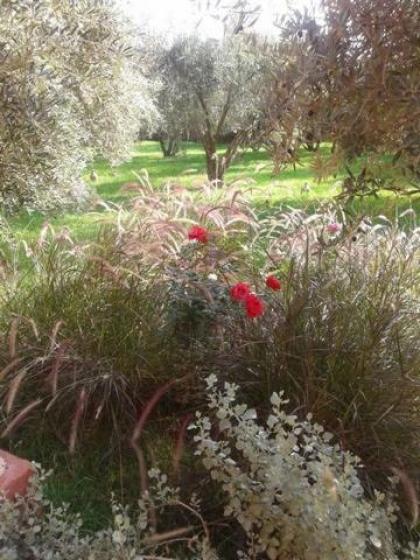 Riad Sidi Hicham - image 24