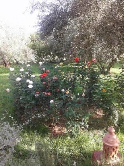 Riad Sidi Hicham - image 27