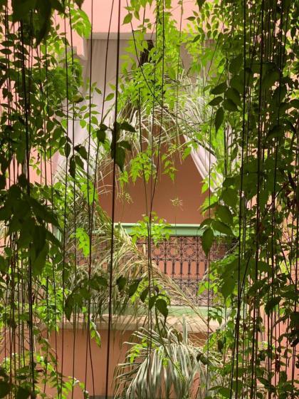The Bohemian Jungle - image 27