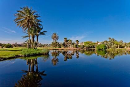 Golf Club Rotana Palmeraie - image 6