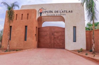 Upupa de l’Atlas - image 16