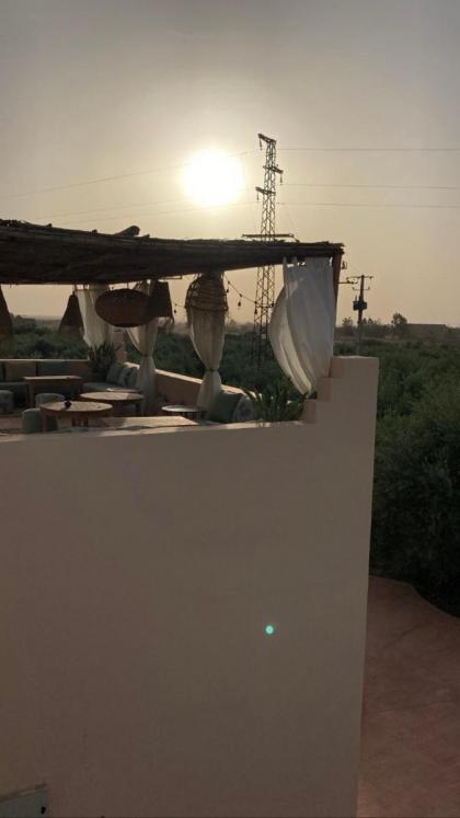 Upupa de l’Atlas - image 21