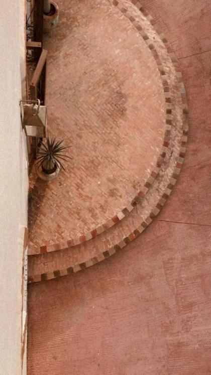 Upupa de l’Atlas - image 22