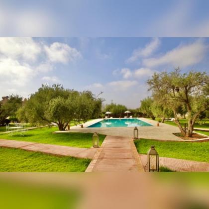 Upupa de l’Atlas - image 24