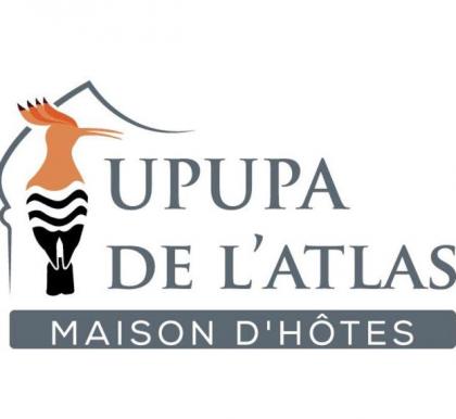 Upupa de l’Atlas - image 26