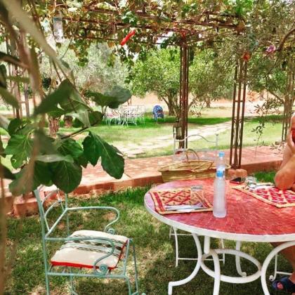 Upupa de l’Atlas - image 28