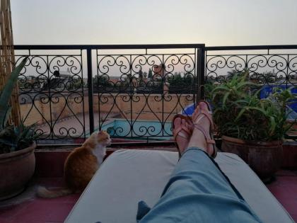 Riad Dar Tiflet - image 7