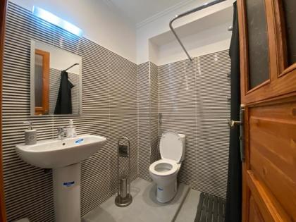 Cycas Family Aparts -Fibre Optique- - image 22