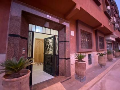 Cycas Family Aparts -Fibre Optique- - image 28