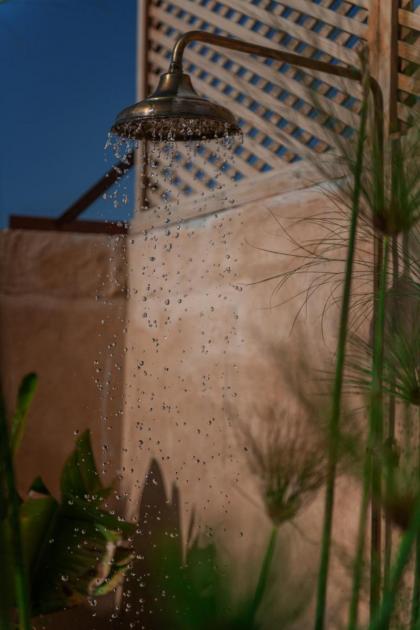 Riad Le Saadien - image 27