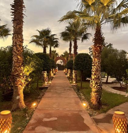 Villa Le Patio Blanc - image 26