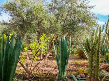 Dar Al Andalous Villa - image 30