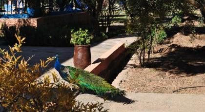 Guest House Qodwa - image 27
