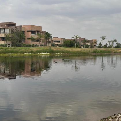 Prestigia golf city luxe - image 23