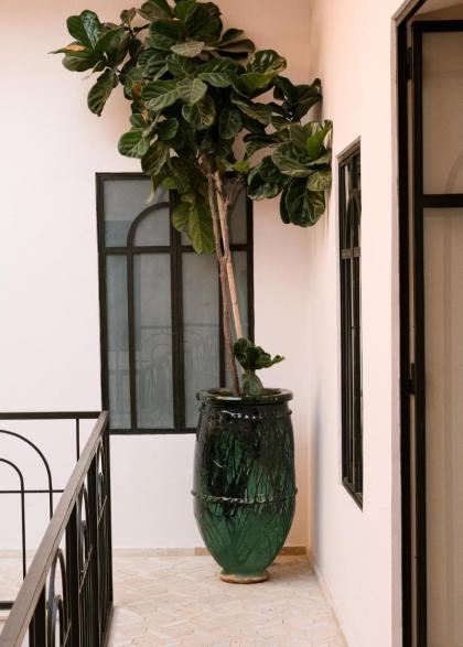 Riad Pompon - image 25
