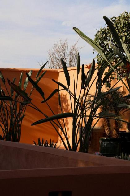 Riad Pompon - image 26