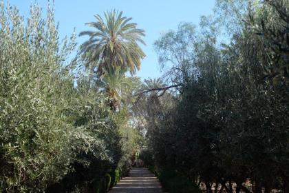 Eden Palm Resident Palmeraie Marrakech - image 21