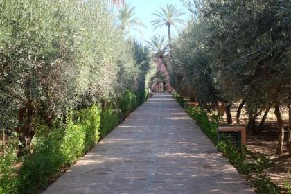 Eden Palm Resident Palmeraie Marrakech - image 22