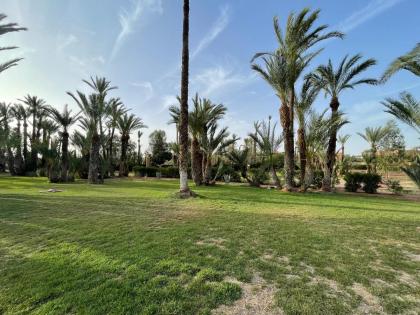 Fabuleux appartement rez de jardin au sein de la palmeraie - image 30