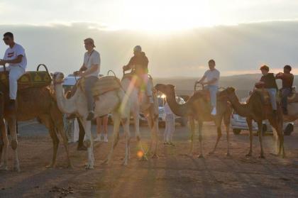 andor tours morocco - image 27